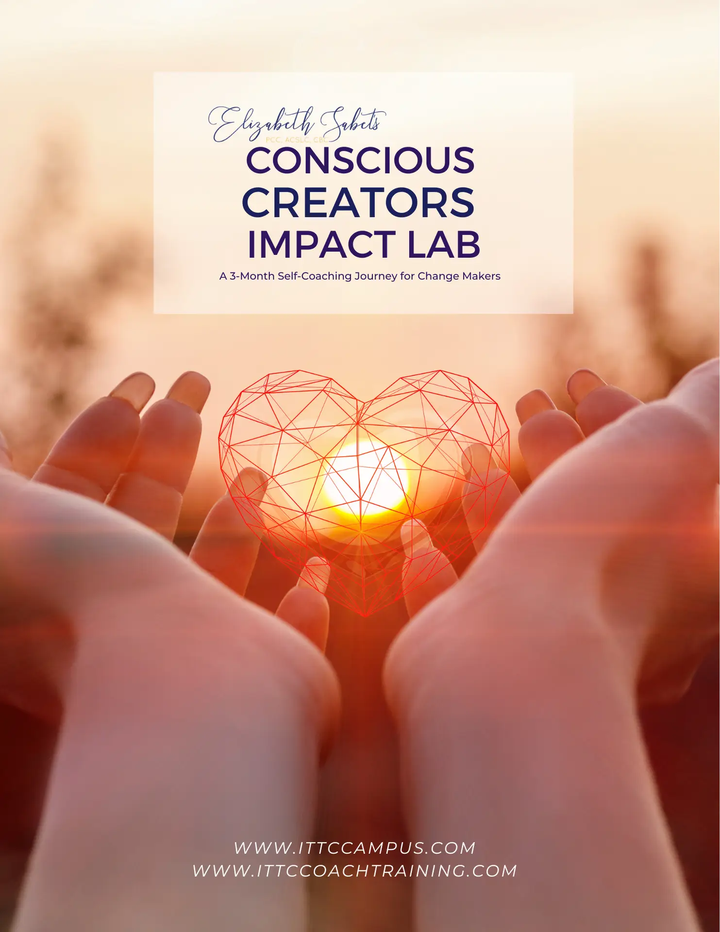 Conscious Creators Impact Lab by Elizabeth Sabet Elizabeth J Sabet